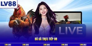 Đá gà trực tiếp 88