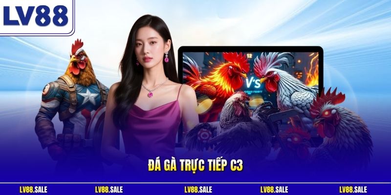 Đá gà trực tiếp C3