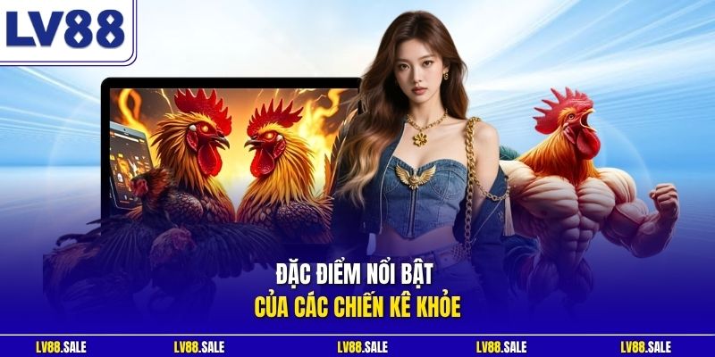 Đặc điểm nổi bật của các chiến kê khỏe