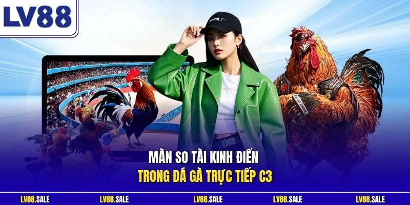 Màn so tài kinh điển trong đá gà trực tiếp C3