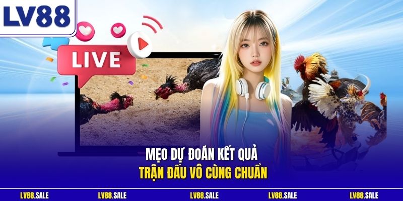 Mẹo dự đoán kết quả trận đấu vô cùng chuẩn